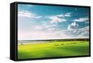 Canvas Black