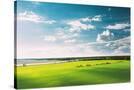 Stretched Canvas