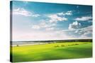 Stretched Canvas