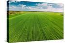 Stretched Canvas