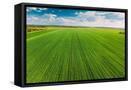 Canvas Black