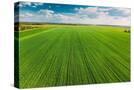 Stretched Canvas