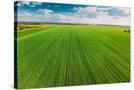 Stretched Canvas