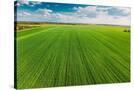 Stretched Canvas