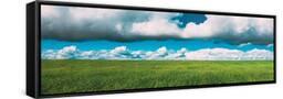 Canvas Black