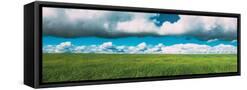 Canvas Black