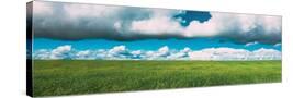Stretched Canvas