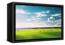 Canvas Black