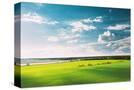 Stretched Canvas