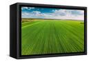 Canvas Black
