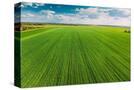 Stretched Canvas
