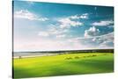Stretched Canvas