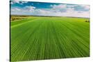 Stretched Canvas