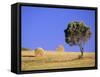 Countryside, Sardinia, Italy, Europe-John Miller-Framed Stretched Canvas