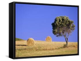 Countryside, Sardinia, Italy, Europe-John Miller-Framed Stretched Canvas