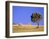 Countryside, Sardinia, Italy, Europe-John Miller-Framed Photographic Print