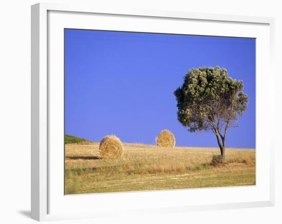 Countryside, Sardinia, Italy, Europe-John Miller-Framed Photographic Print