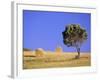 Countryside, Sardinia, Italy, Europe-John Miller-Framed Photographic Print