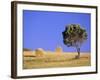 Countryside, Sardinia, Italy, Europe-John Miller-Framed Photographic Print