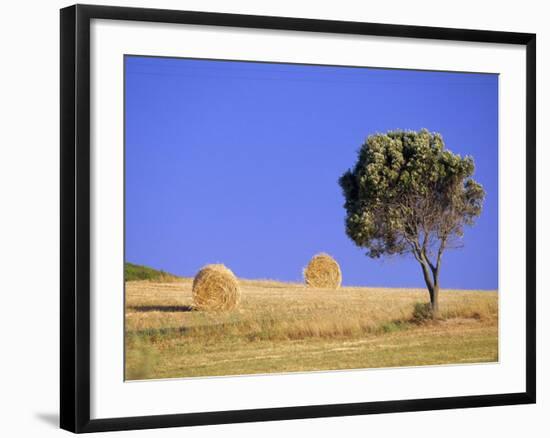 Countryside, Sardinia, Italy, Europe-John Miller-Framed Photographic Print