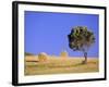 Countryside, Sardinia, Italy, Europe-John Miller-Framed Photographic Print