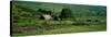 Countryside Scene Connemara County Galway Ireland-null-Stretched Canvas