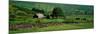 Countryside Scene Connemara County Galway Ireland-null-Mounted Photographic Print