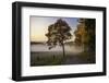 Countryside Vibes-Christian Lindsten-Framed Photographic Print