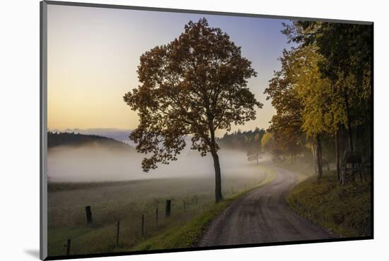 Countryside Vibes-Christian Lindsten-Mounted Photographic Print