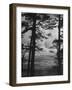 Countryside View in Tipperary-Hans Wild-Framed Photographic Print