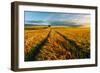 Countryside-Piotr Krol (Bax)-Framed Art Print