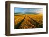 Countryside-null-Framed Art Print