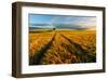 Countryside-null-Framed Art Print