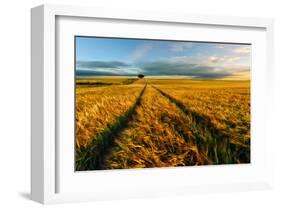 Countryside-null-Framed Art Print