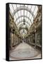County Arcade, Leeds, West Yorkshire, Yorkshire, England, United Kingdom-Nick Servian-Framed Stretched Canvas