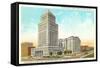 County Courthouse, Atlanta, Georgia-null-Framed Stretched Canvas