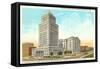 County Courthouse, Atlanta, Georgia-null-Framed Stretched Canvas