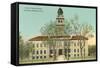 County Courthouse, Colorado Springs, Colorado-null-Framed Stretched Canvas