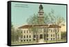 County Courthouse, Colorado Springs, Colorado-null-Framed Stretched Canvas