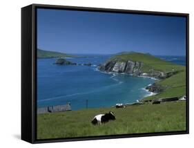 County Kerry, Munster, Eire (Republic of Ireland)-Simon Harris-Framed Stretched Canvas