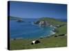 County Kerry, Munster, Eire (Republic of Ireland)-Simon Harris-Stretched Canvas