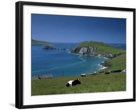 County Kerry, Munster, Eire (Republic of Ireland)-Simon Harris-Framed Photographic Print