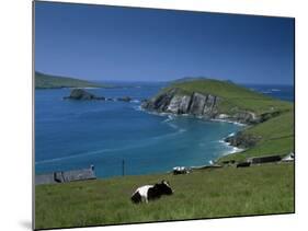 County Kerry, Munster, Eire (Republic of Ireland)-Simon Harris-Mounted Photographic Print