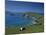 County Kerry, Munster, Eire (Republic of Ireland)-Simon Harris-Mounted Photographic Print