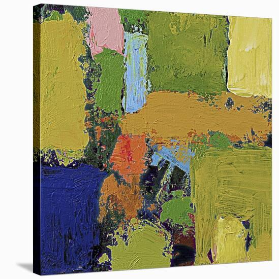 County Line III-Allan Friedlander-Stretched Canvas