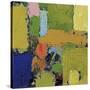 County Line III-Allan Friedlander-Stretched Canvas