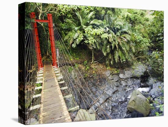 County Maolin Rope Bridge, Taiwan-Christian Kober-Stretched Canvas