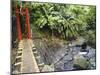 County Maolin Rope Bridge, Taiwan-Christian Kober-Mounted Photographic Print