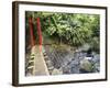 County Maolin Rope Bridge, Taiwan-Christian Kober-Framed Photographic Print