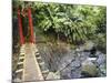 County Maolin Rope Bridge, Taiwan-Christian Kober-Mounted Photographic Print